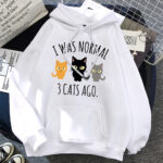 I Was Normal 3 Cats Ago Oversize Hoodie
